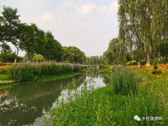 地摊经济或许成为挽救乡村旅游的最后一根救命稻草