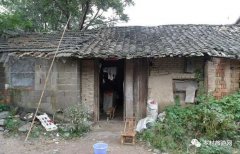佳国妈妈气得大病一场——孽子情债（连载之四）