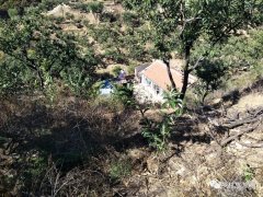 紫玉，我爱你，恨不得天天都能吃了你