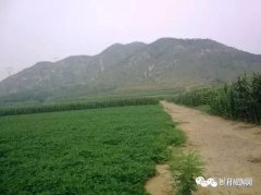 岚山脚下女英雄张秀英